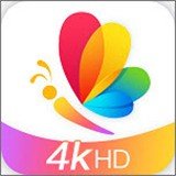 4K高清壁纸精灵app官方版免费